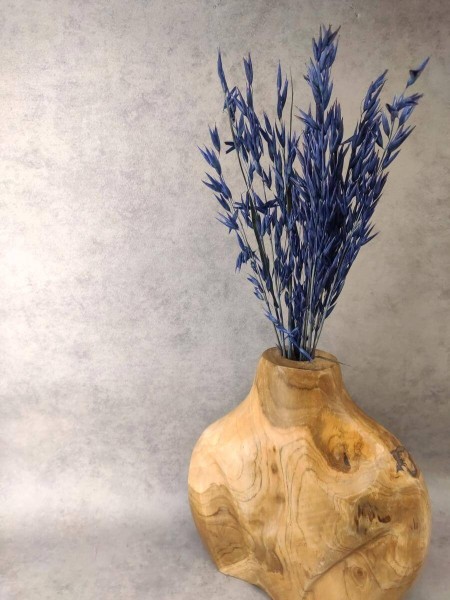 Trockenblumen-Hafer-blau-stehend